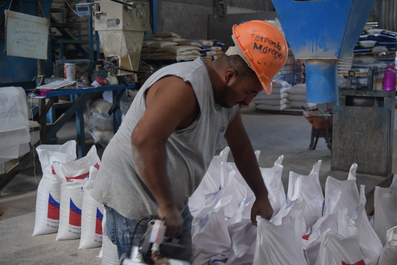 Integrante del equipo Nogueras trabajando en ensacado